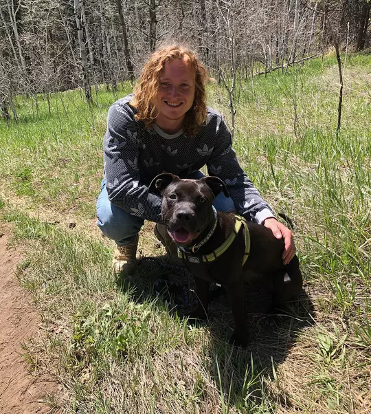 Ryan Stonehouse dog rescue