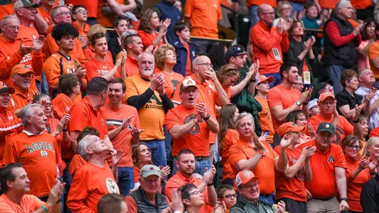 Crowd