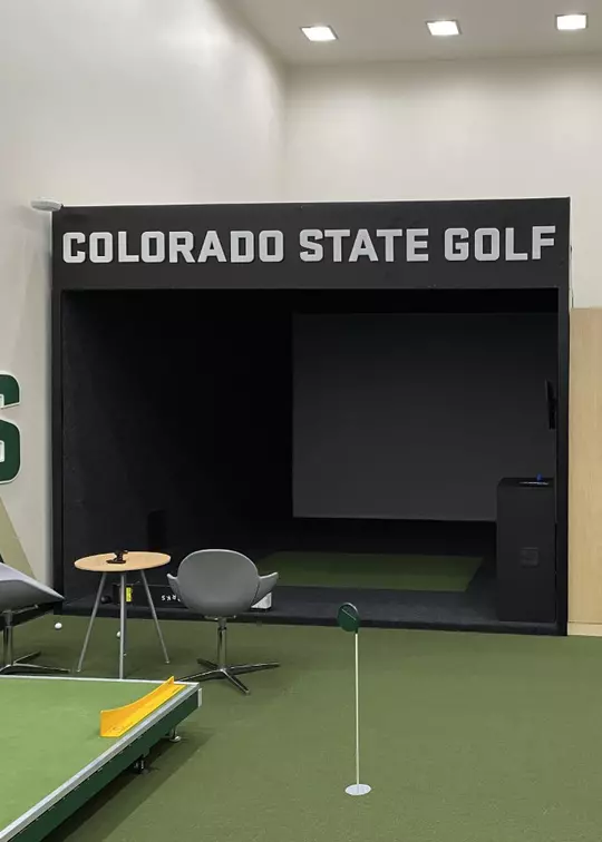 Golf simulator parallax