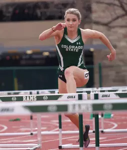 Amelia Harvey parallax
