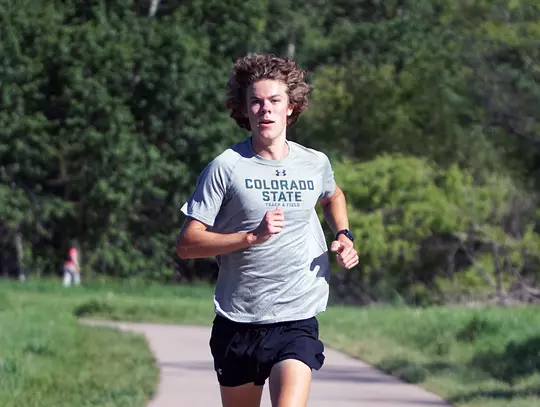 Brock Dykema parallax