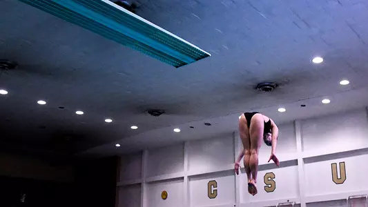 Diving release