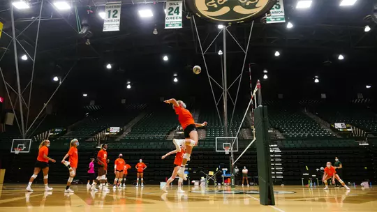 Volleyball Practice