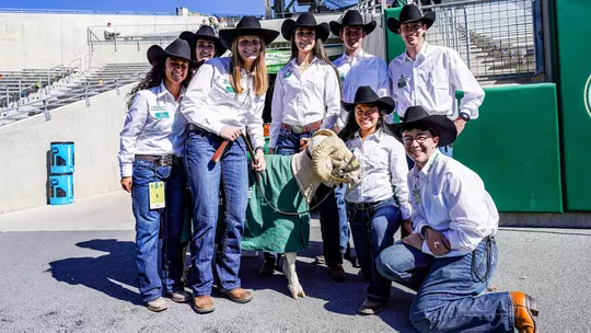 Aleyse Evers Ram Handler Group