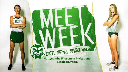 MeetweekWISC