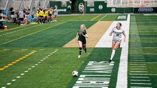 Ally Murphy-Pauletto