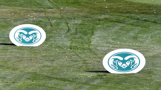 Golf Practice Area Targets
