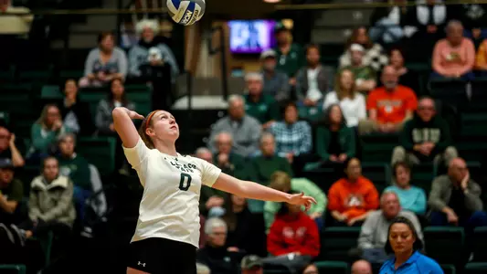 Colorado State Volleyball vs. Air Force - 10/31/19