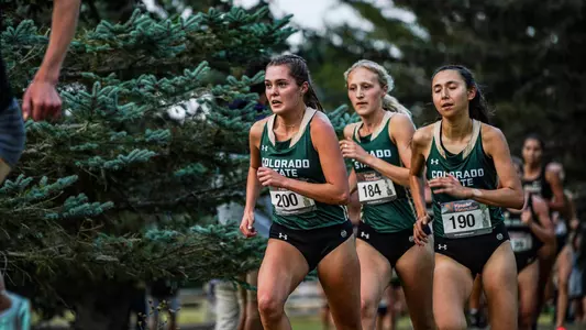 Lily Tomasula-Martin