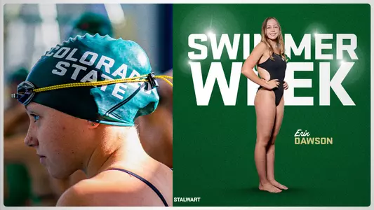 Erin Dawson Correct Graphic