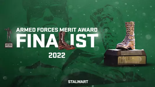 Merit Award Graphic 2022