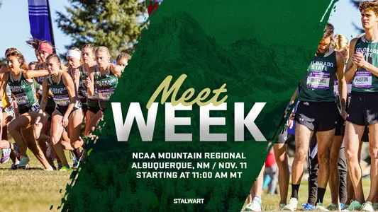 Meet Week NCAA Regional