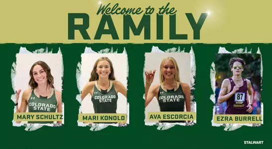 Track and Field NLI Graphic