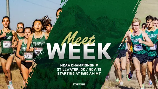 cross country ncaa championship meet week