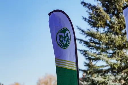 Cross Country Championships