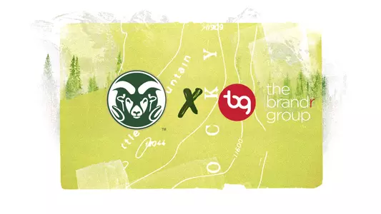 The Brandr Group Announcement Graphic