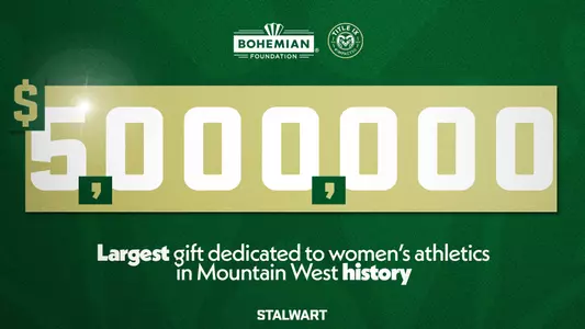 Bohemian Gift Graphic