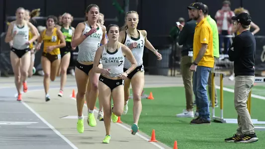 Emily Chaston Lily Tomasula-Martin Lauren Neugebron