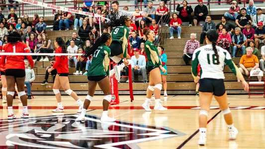 Volleyball at New Mexico