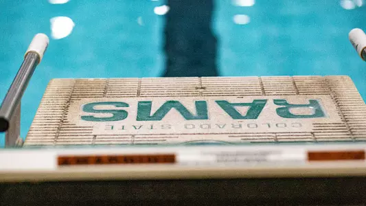 Swim blocks