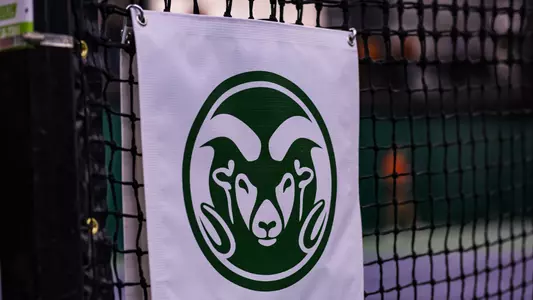 Tennis net