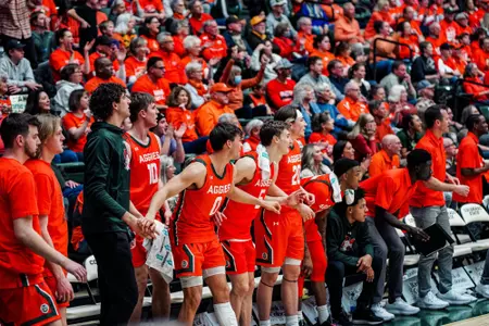 MBB Team