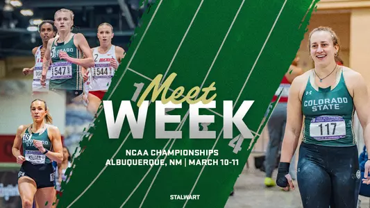 NCAA Preview Graphic