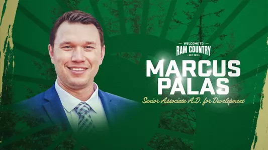 Palas Hiring Graphic