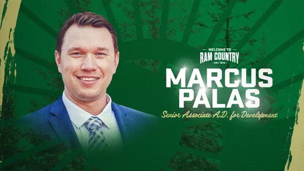 Palas Hiring Graphic