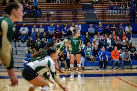 CSU at Boise