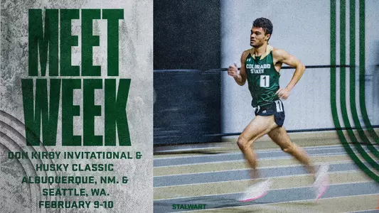 Albuquerque and Seattle Meet Week