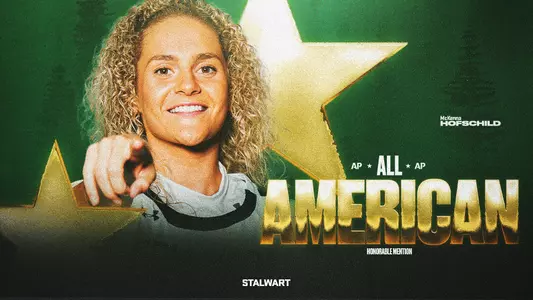 Hofschild All-American AP
