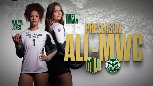 VB Pre Season All MW