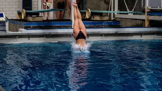 Diver