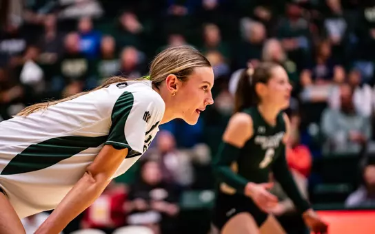 The Shadows of October