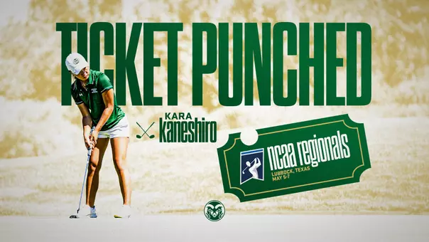 Kaneshiro Ticket Punches