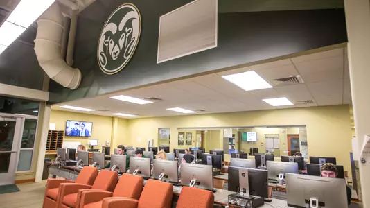 Spring MW Academic honors