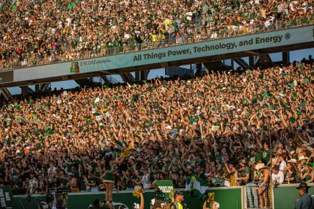 Football Crowd
