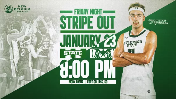 Stripe Out Web Story