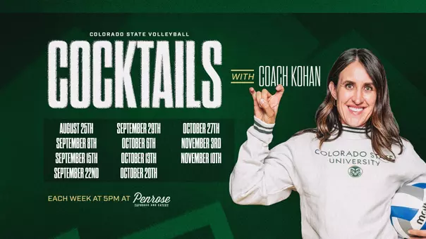 Cocktails Website Story