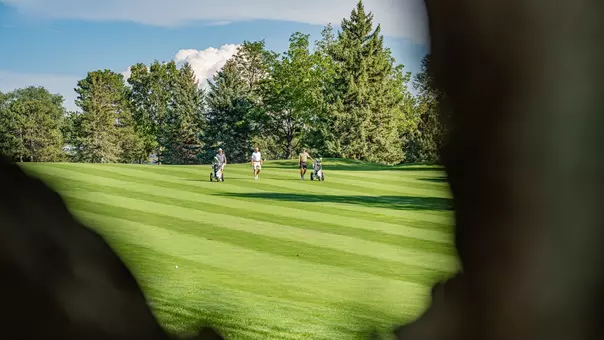 Men's Golf