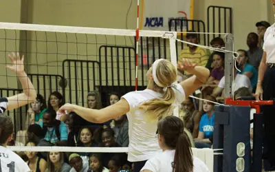 CSU Takes Down Presbyterian, 3-1 Image