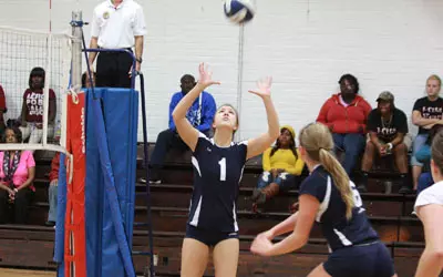 The Blue Hose Prove Too Much For The Lady Bucs Image