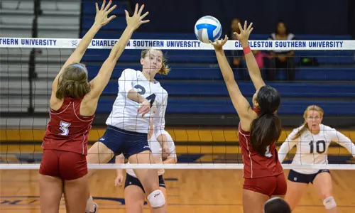 Balanced attack leads CSU past S.C. State, 3-1 Image