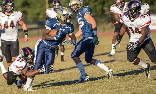 Bucs' beat Gardner-Webb behind defense, big fourth quarter, 28-10 Image