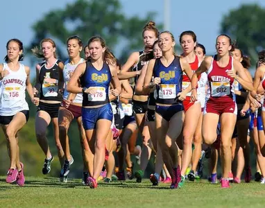 Lady Bucs finish 37th at NCAA Regionals Image