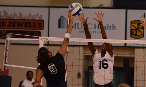 Volleyball Sweeps First Day Matches at Willie Jewell's Invitational Image