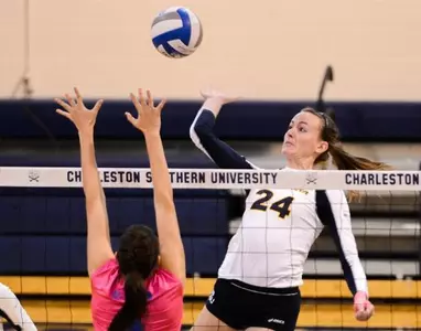 LaVenice, Windsor propel Bucs to 3-2 win over S.C. State Image