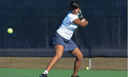 No. 38 South Carolina tops Charleston Southern, 5-0 Image