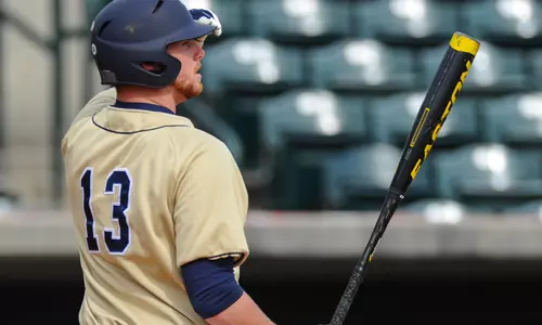 Shelton, Bucs handle Savannah State, 8-3 Image